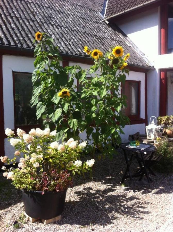 Praestogaard Bed & Breakfast Luaran gambar